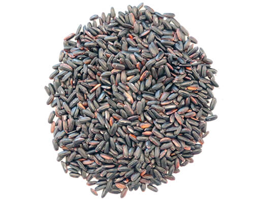 Sprouted Black Rice