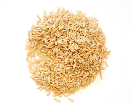 Sprouted Long Grain Brown Rice