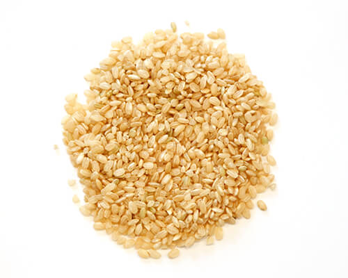 Sprouted Short Grain Brown Rice