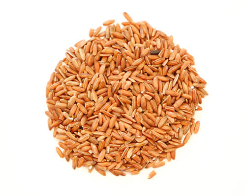 Sprouted Red Rice