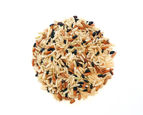 Sprouted Rice Blends